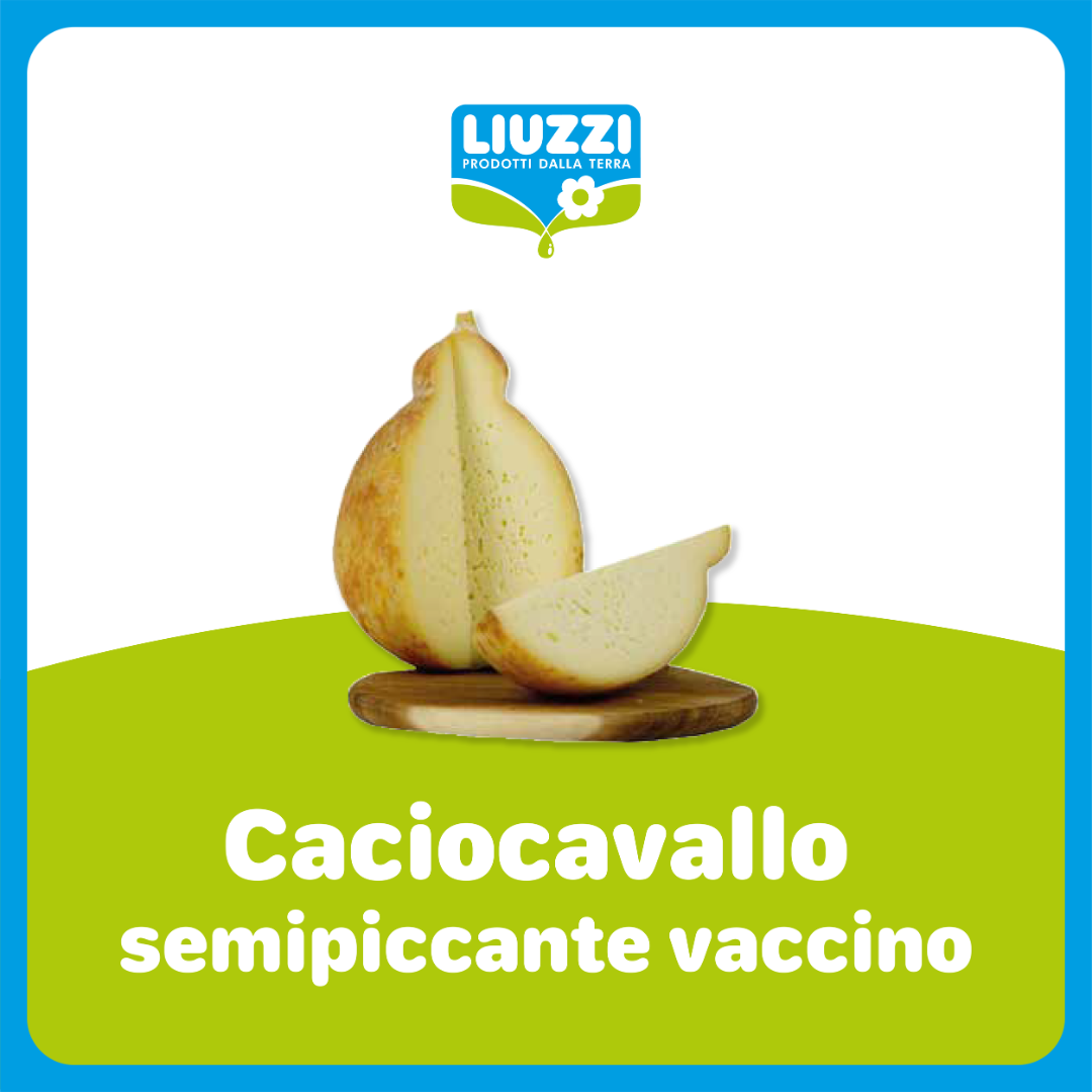 Caciocavallo di Grotta semipiccante della Murgia Barese